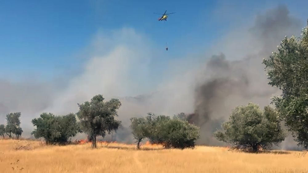  Milas Pınarcık yangınına 5 helikopter 4 uçak müdahale ediyor