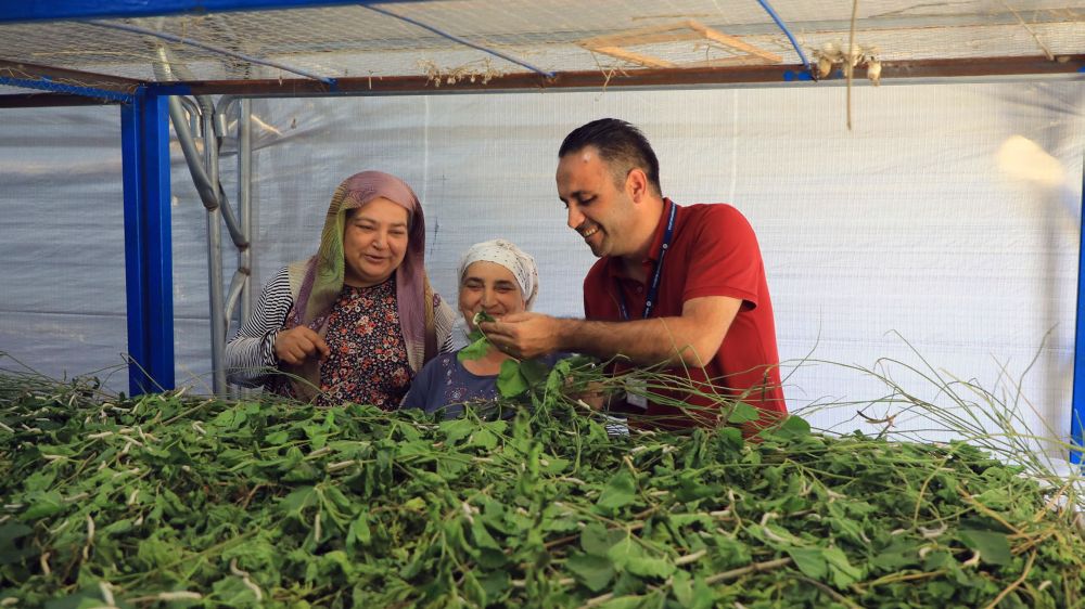 Muğla Büyükşehir’den ipekböcekçiliğine tam destek