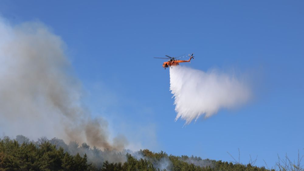 Muğla'daki orman yangını kısmen kontrol altına alındı