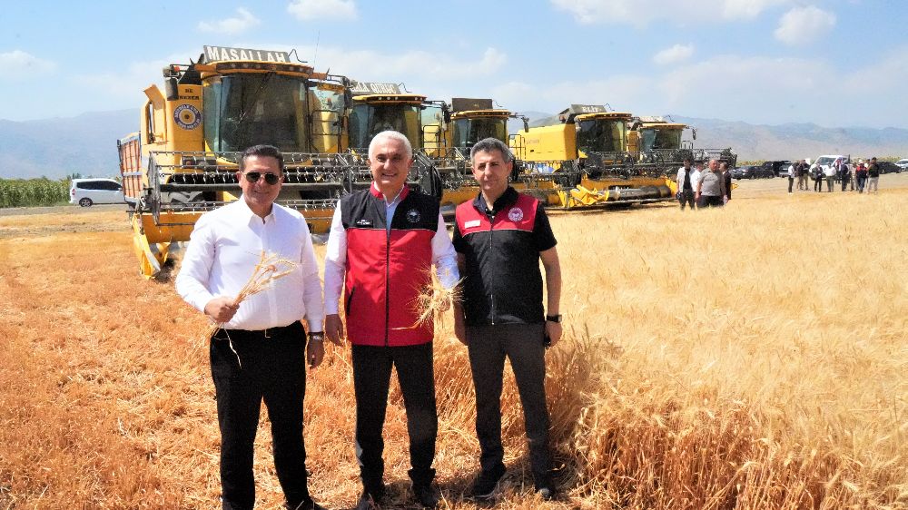 Muş’ta milyarlık hasat başladı
