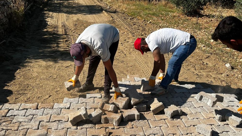 Nazilli Belediyesi'nden haşere ile etkin mücadele
