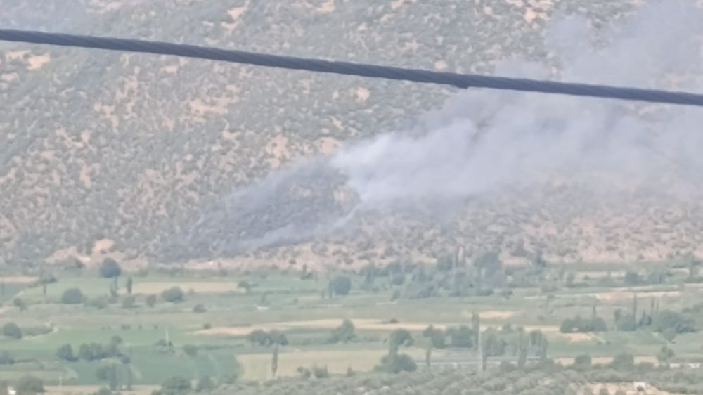 Nazilli’de makilik ve zirai alan yangını