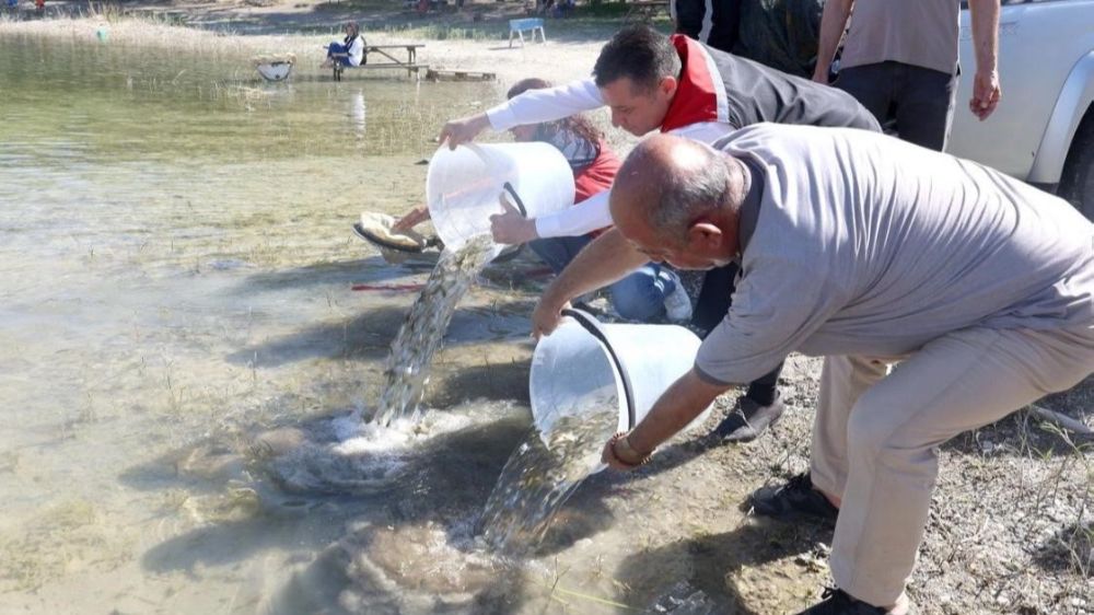 Nevşehir’de 856 Bin yavru sazan balığı sularla buluştu