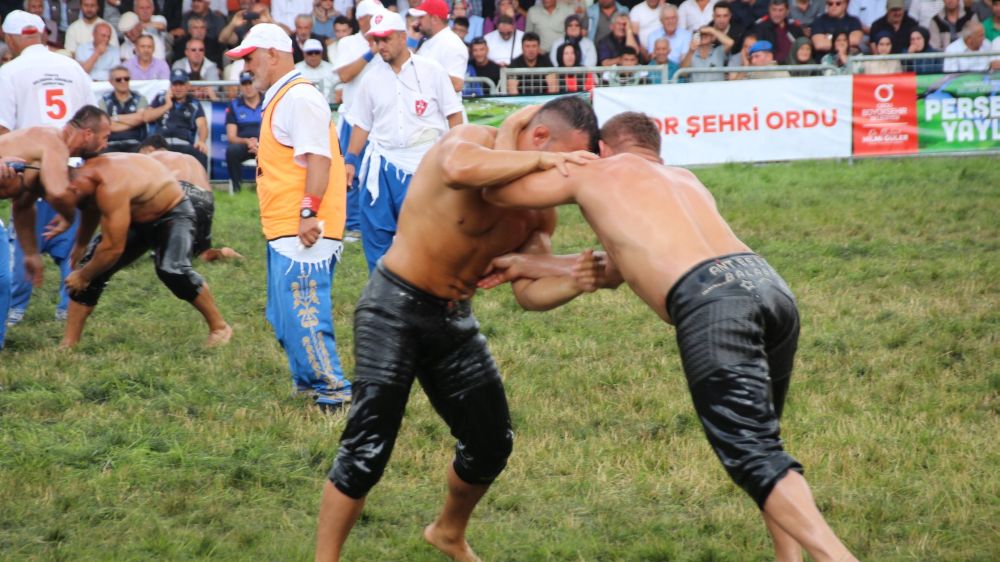 Ordu Aybastı Perşembe Yaylası Ordulu Mustafa Yağlı Pehlivan Güreşleri Başpehlivan Çeyrek Finalistler Belli Oldu 