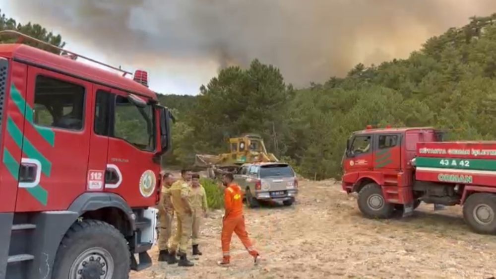 Orman Bölge Müdürü yangının ortasında kaldı