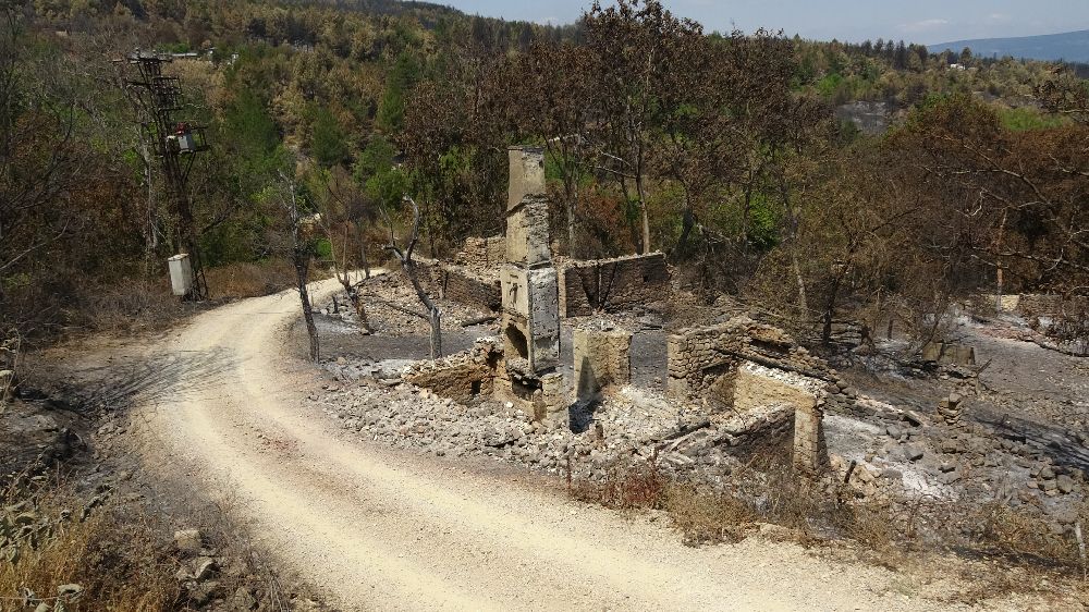 Orman yangınında köyün bir mahallesi yok oldu