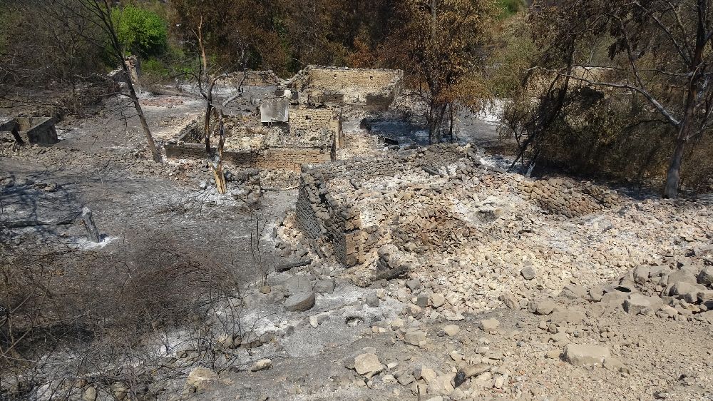 Orman yangınında köyün bir mahallesi yok oldu