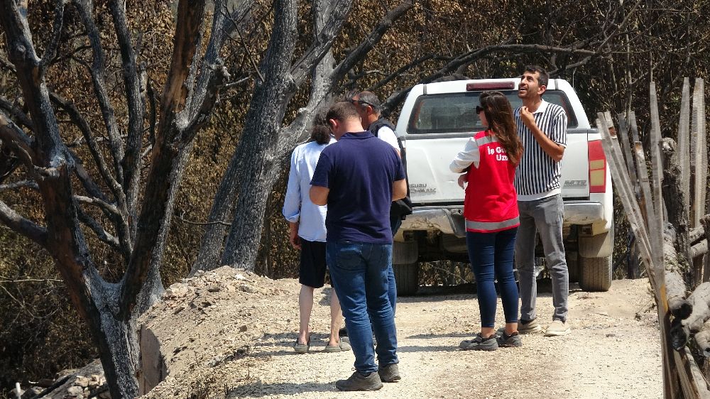 Orman yangınında köyün bir mahallesi yok oldu