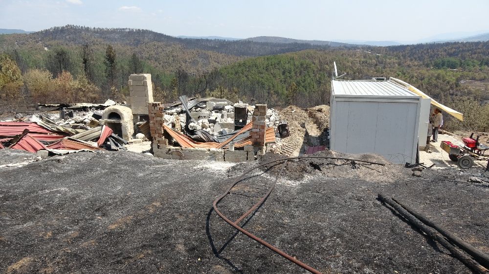 Orman yangınında köyün bir mahallesi yok oldu