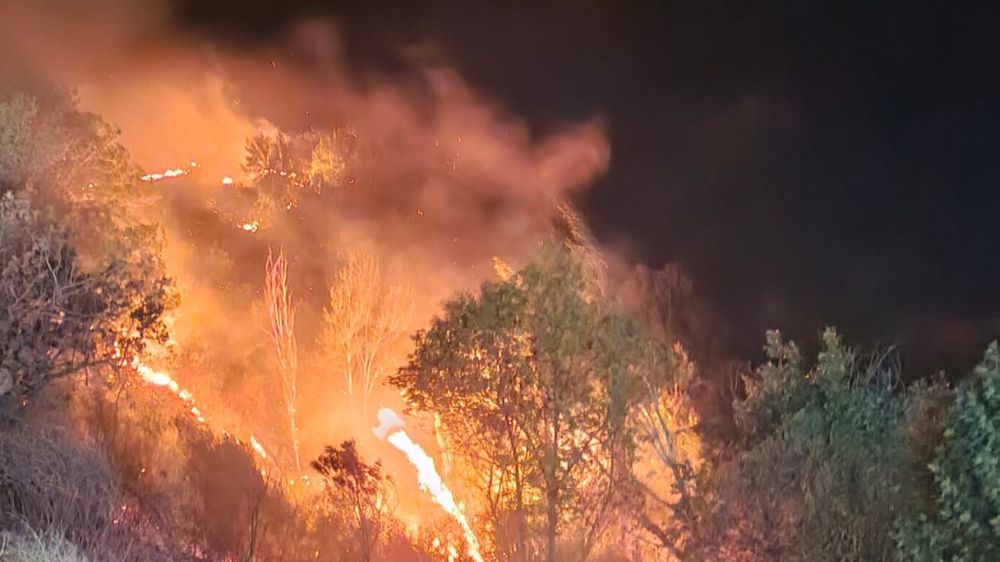 Ormanlık alan ve bahçeler cayır cayır yandı