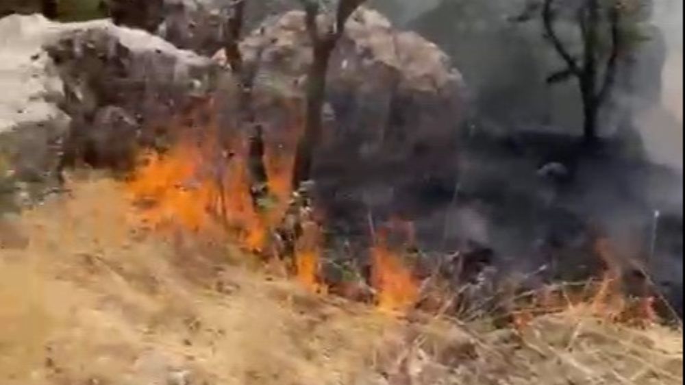 Ormanlık alanda çıkan yangın söndürüldü