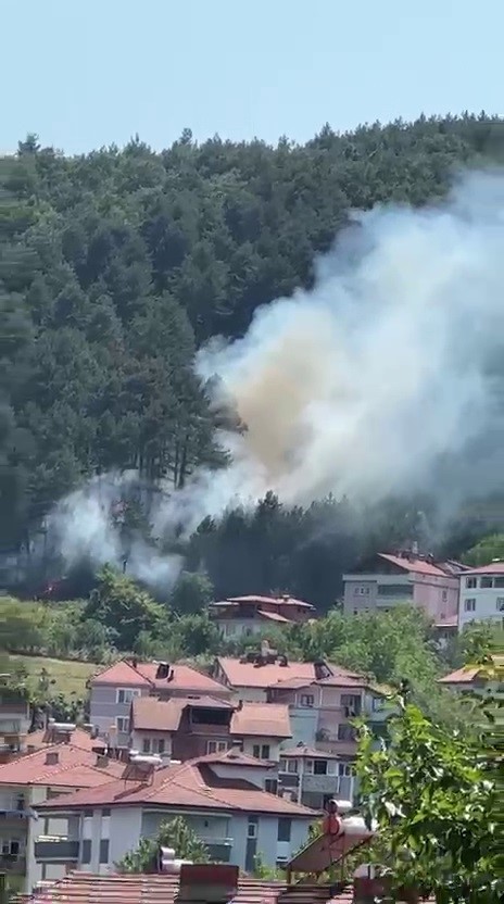Örtü yangını büyümeden söndürüldü