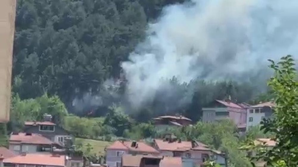 Örtü yangını büyümeden söndürüldü