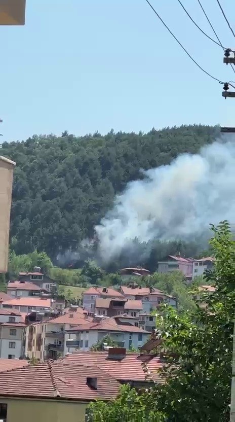 Örtü yangını büyümeden söndürüldü