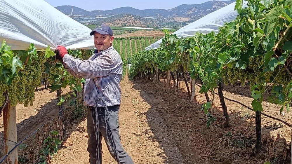  Örtücülerin kavurucu sıcaklarla zorlu mesaisi