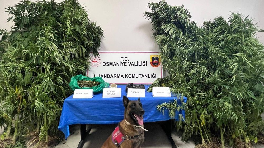 Osmaniye'de 1 haftada 105 şüpheli yakalandı