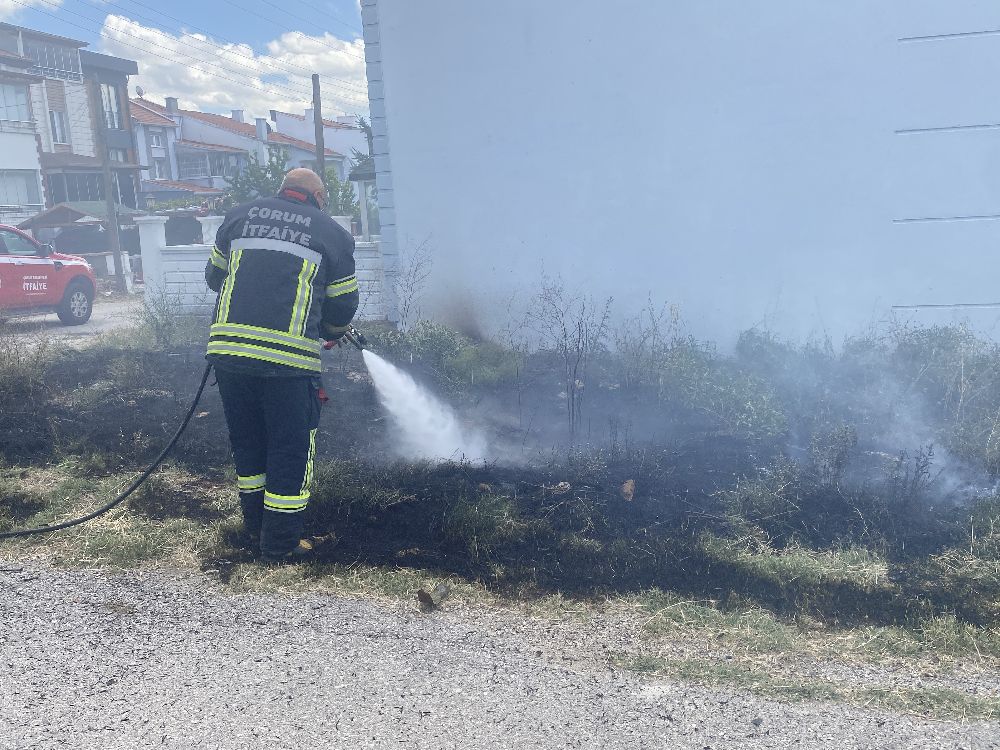 Otluk alanda çıkan yangın evlere sıçramadan kontrol altına alındı