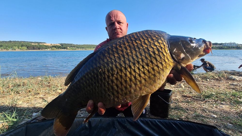 (ÖZEL) Yakalandıkları devasa sazanları yeniden suya bıraktılar