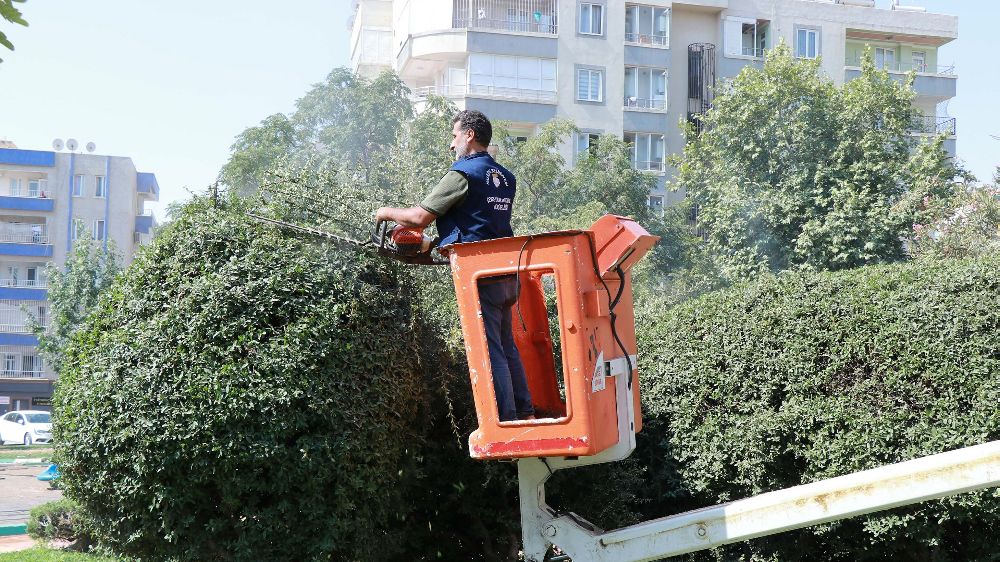 Parklarda yenileme ve güzelleştirme çalışması