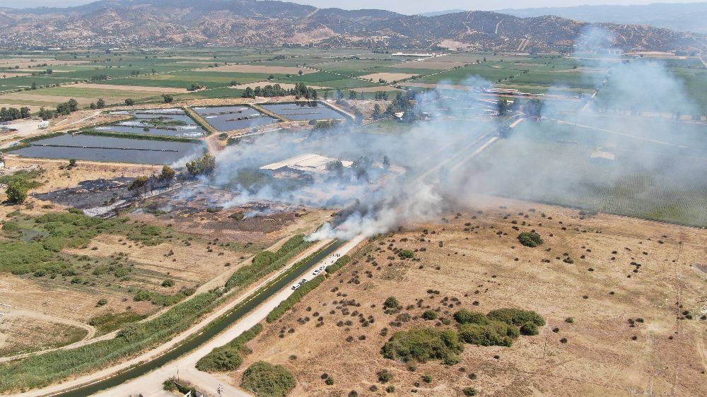 Rüzgarla büyüyen yangın, hayvan çiftliğini tehdit etti