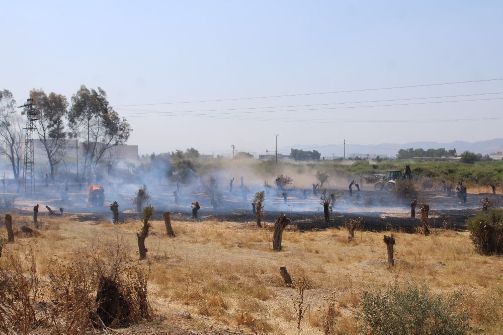 Rüzgarla büyüyen yangın, hayvan çiftliğini tehdit etti