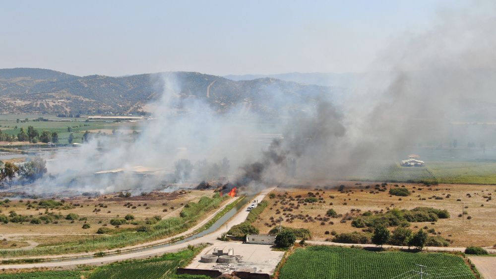 Rüzgarla büyüyen yangın, hayvan çiftliğini tehdit etti