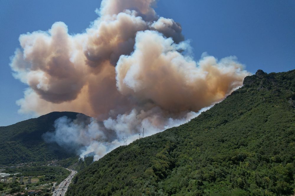 Sakarya'daki orman yangını havadan görüntülendi
