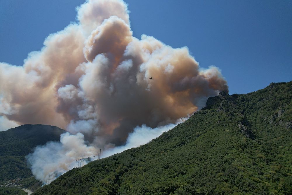 Sakarya'daki orman yangını havadan görüntülendi