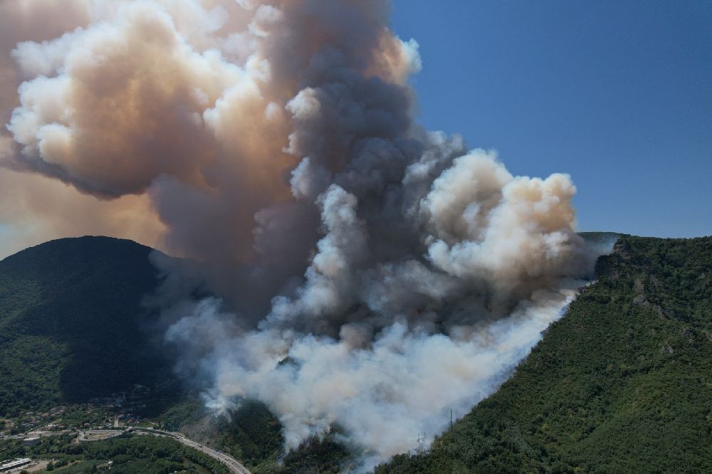 Sakarya'daki orman yangını havadan görüntülendi