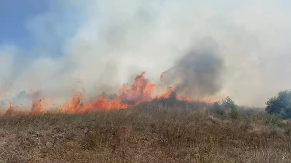 Sakarya Kaynarca'da makilik alanda yangın çıktı
