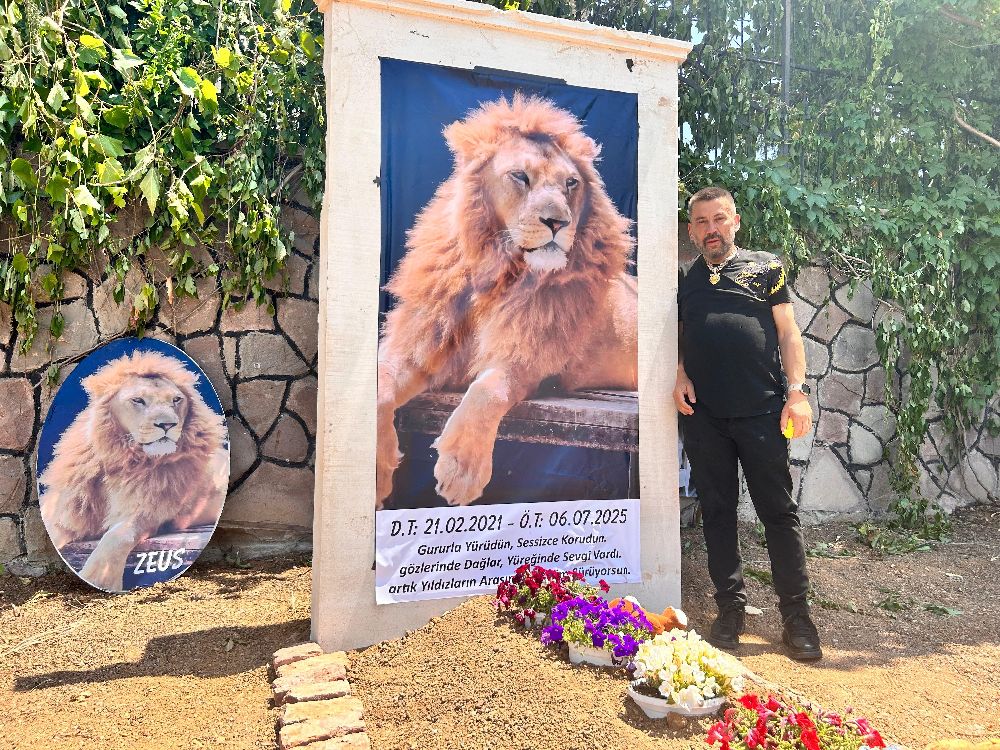 Saldırdığı çiftçiyi yaraladıktan sonra öldürülen aslanın sahibi evinin önüne temsili mezar yaptırdı