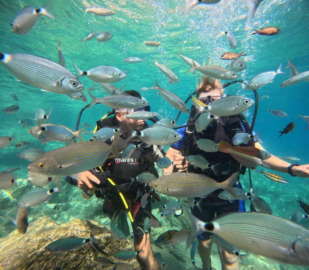 Samsun'daki tabiat parklarını bu yıl 34 binden fazla kişi gezdi