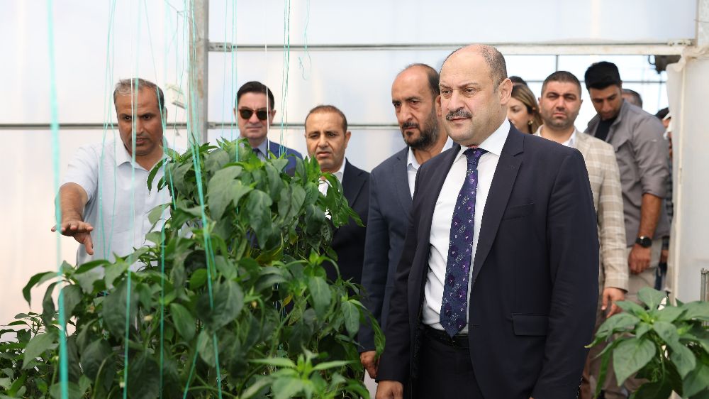 Şanlıurfa Büyükşehir Belediyesi Ata Tohumuna sahip çıkıyor