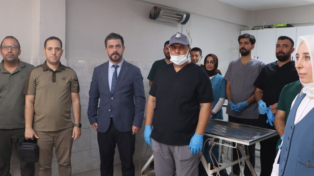 Şanlıurfa’da sokak hayvanları için doğal yaşam alanı ve kısırlaştırma seferberliği başlıyor