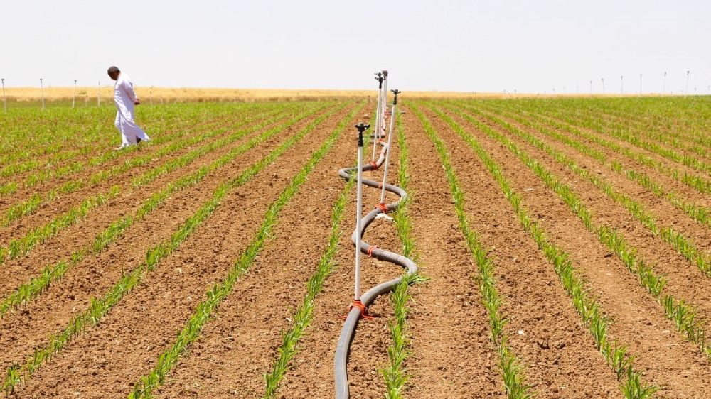 Şanlıurfa'da tarımsal su krizi derinleşiyor