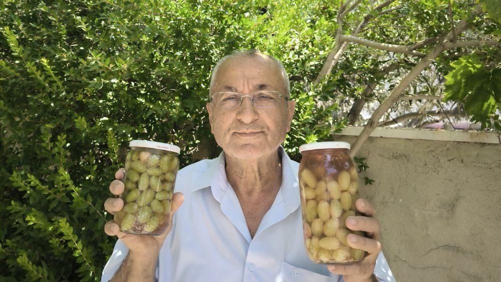 Sarıgöl’de Mevlana üzümünden yapılan turşu yoğun ilgi gördü