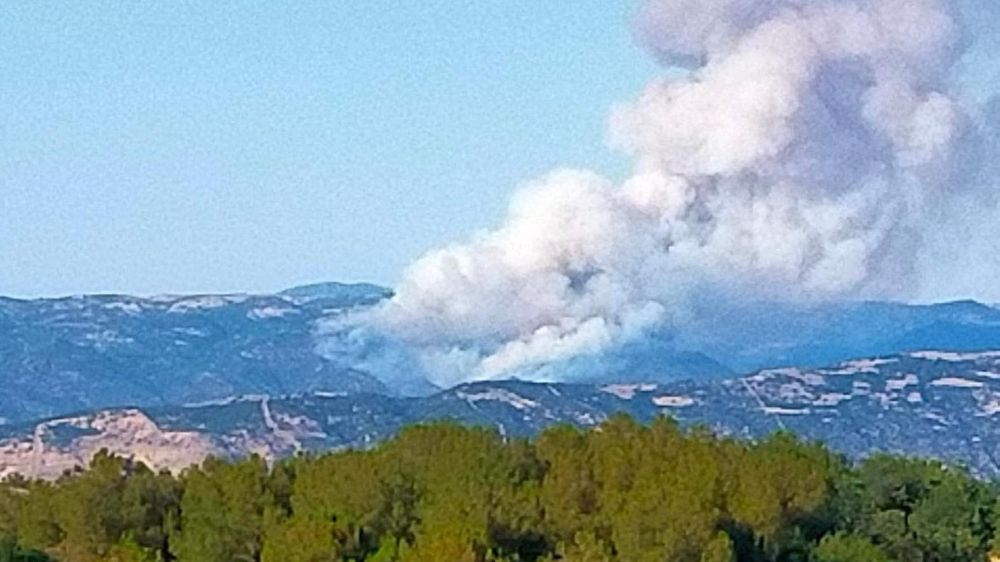 Sarıgöl'de orman yangını başladı