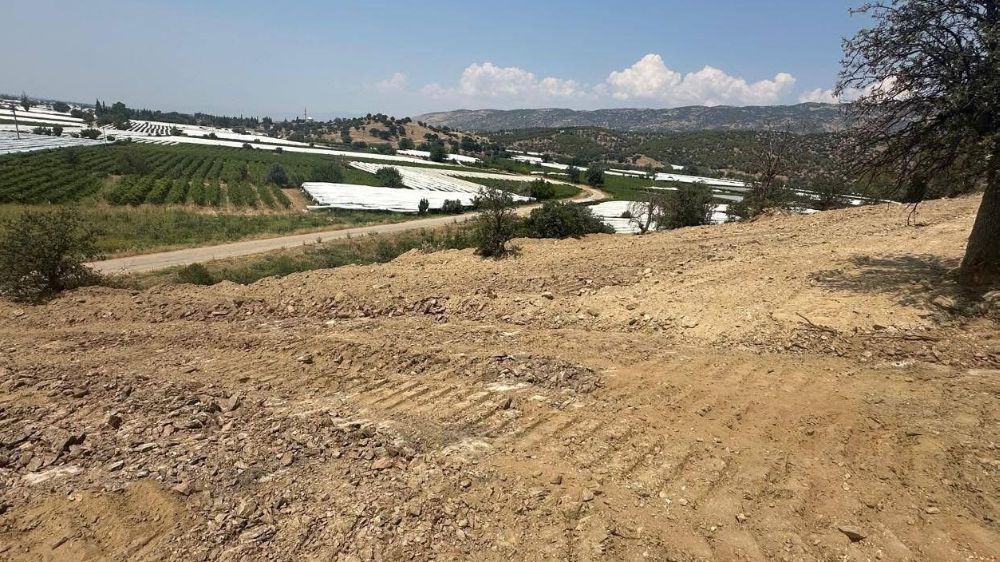 Sarıgöl'e sokak hayvanları için doğal yaşam alanı yapılacak