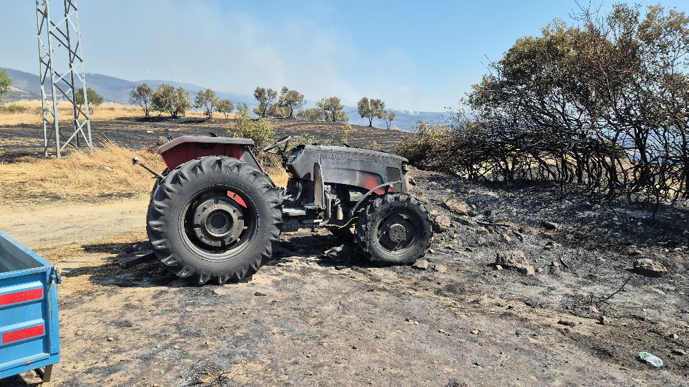 Şarköy'de orman yangınında araçlar küle döndü
