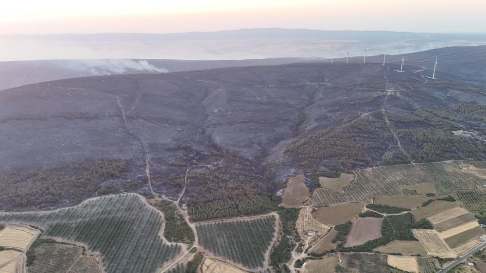 Şarköy’deki orman yangını kontrol altına alındı