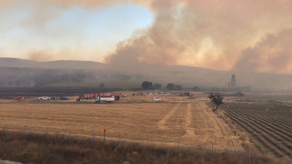 Şarköy’deki orman yangınına 34 hava aracı ile müdahale ediliyor