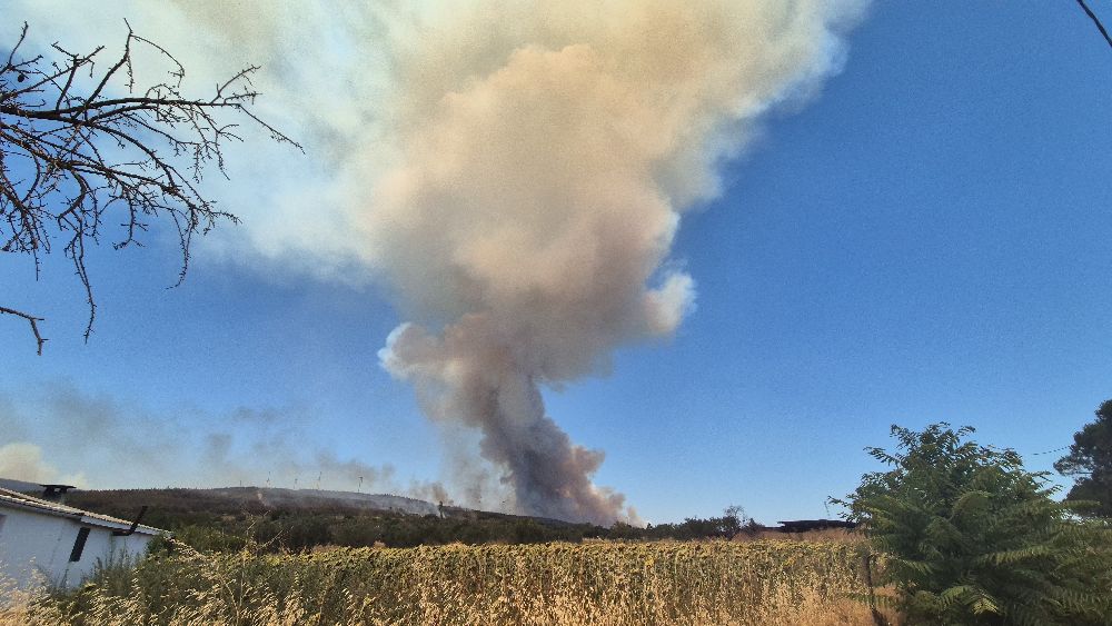 Şarköy’deki orman yangınına 34 hava aracı ile müdahale ediliyor