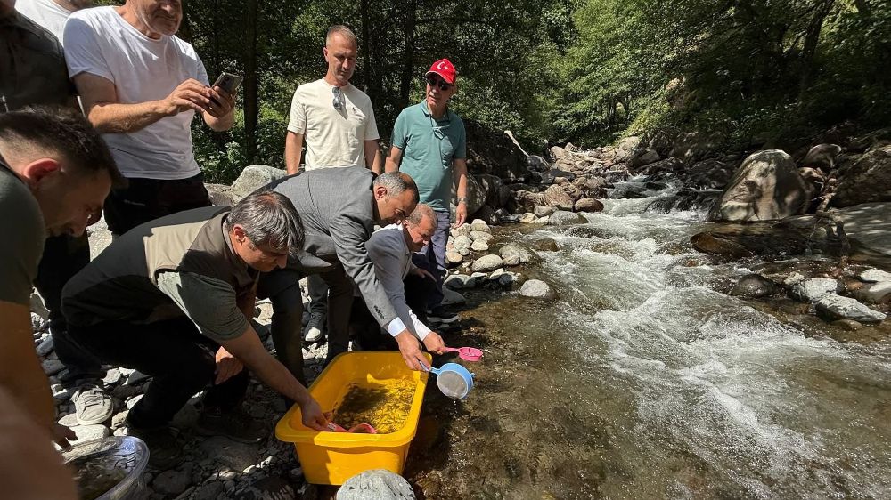 Şavşat’ta Mansurat Deresi’ne 20 bin alabalık yavrusu bırakıldı