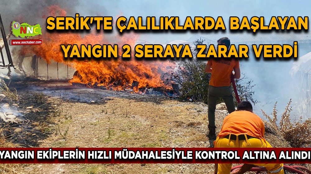 Serik'te çalılıklarda başlayan yangın 2 seraya zarar verdi