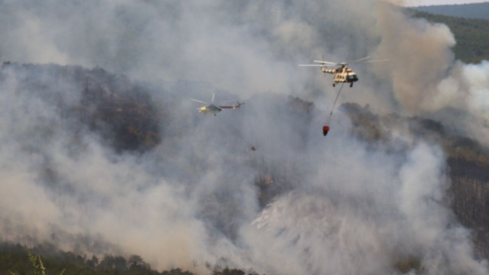 Seyitgazi’de çıkan yangın büyümeye devam ediyor