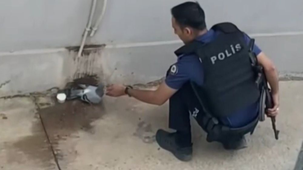 Sıcaktan bunalan güvercine polisten yardım eli
