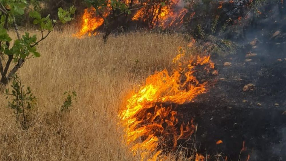 Siirt’te çıkan yangında 2 dönüm arazi zarar gördü