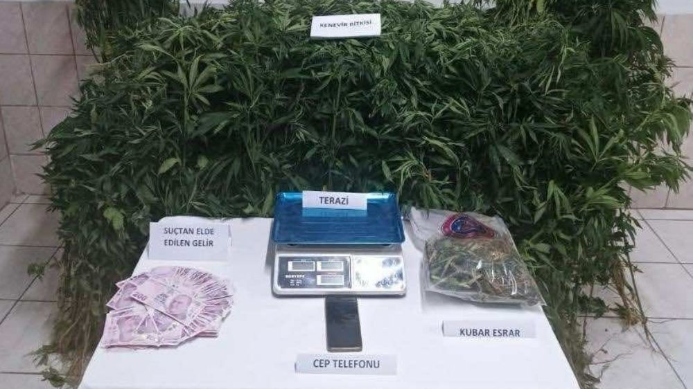 Sinop'ta uyuşturucu operasyonu: 1 tutuklama