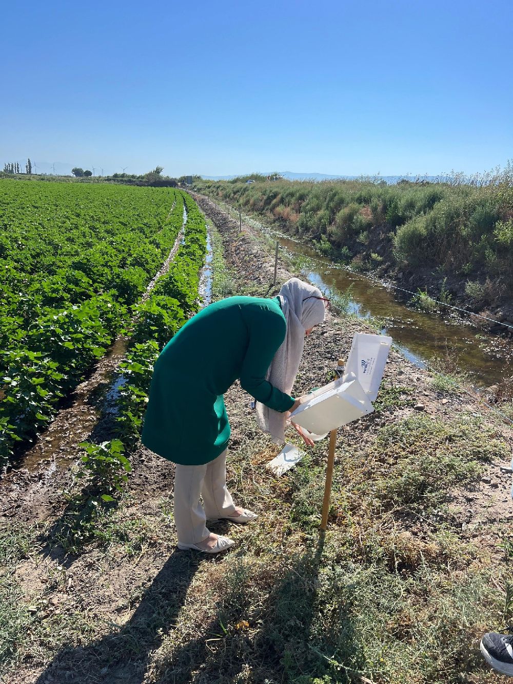 Söke'de tarla ve bahçelerde zararlı kontrolleri gerçekleştirildi