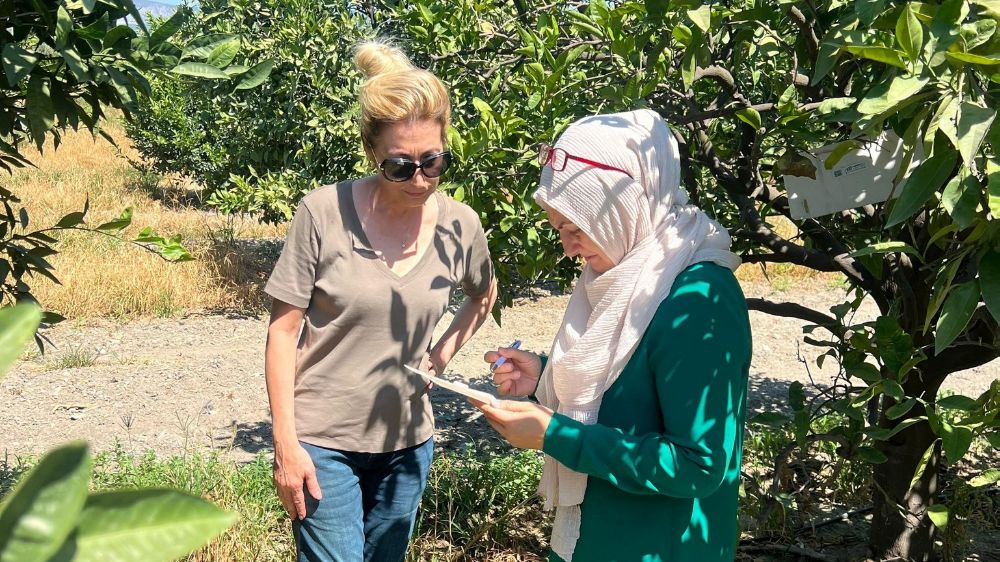 Söke'de tarla ve bahçelerde zararlı kontrolleri gerçekleştirildi